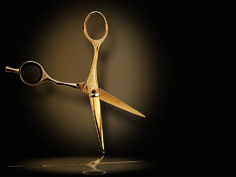 Professional Hair Cutting Shears